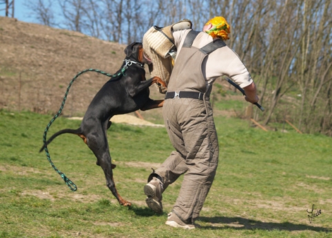 Training 4. 4. 2007